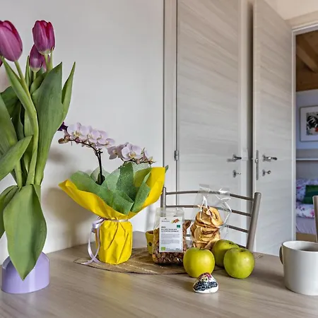 Apartamento Agricamping Mabellini Orlando
